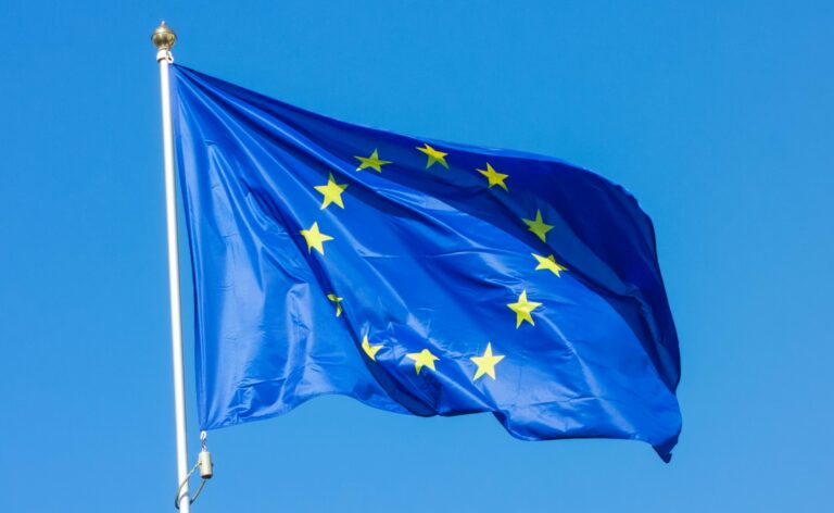 EU Projects Insights